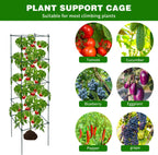 6 Packs Tomato Cages for Garden, 12"×12"×48" Plant Support Cage with Different Spacing, Green Metal Trellis for Climbing Plants Like Cucumber, Flowers