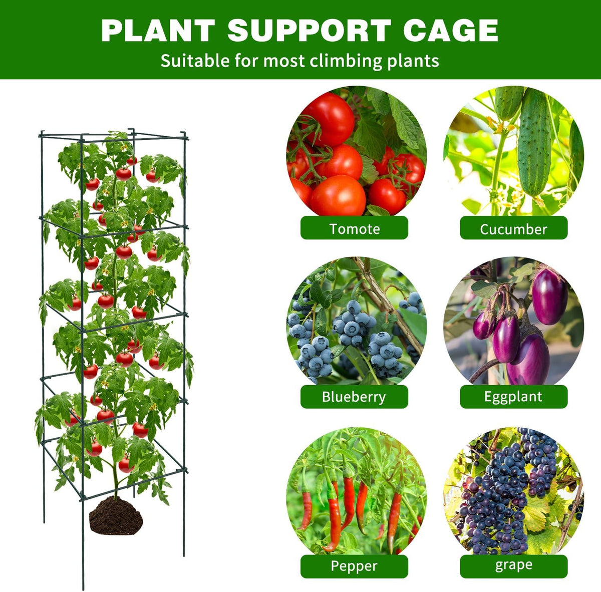 6 Packs Tomato Cages for Garden, 12"×12"×48" Plant Support Cage with Different Spacing, Green Metal Trellis for Climbing Plants Like Cucumber, Flowers