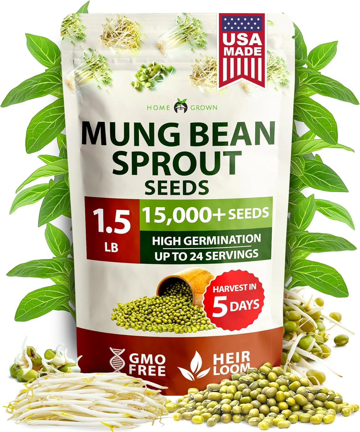HOME GROWN Mung Beans Seeds Pack 1.5 lb – 𝗨𝗦𝗔 Over 15,000 Sprouting Seeds – Grow Fresh Mung Bean Sprouts or Microgreens for Quick, Easy, Nutrient-Packed Food for Your Daily Meals (Vigna Radiata)