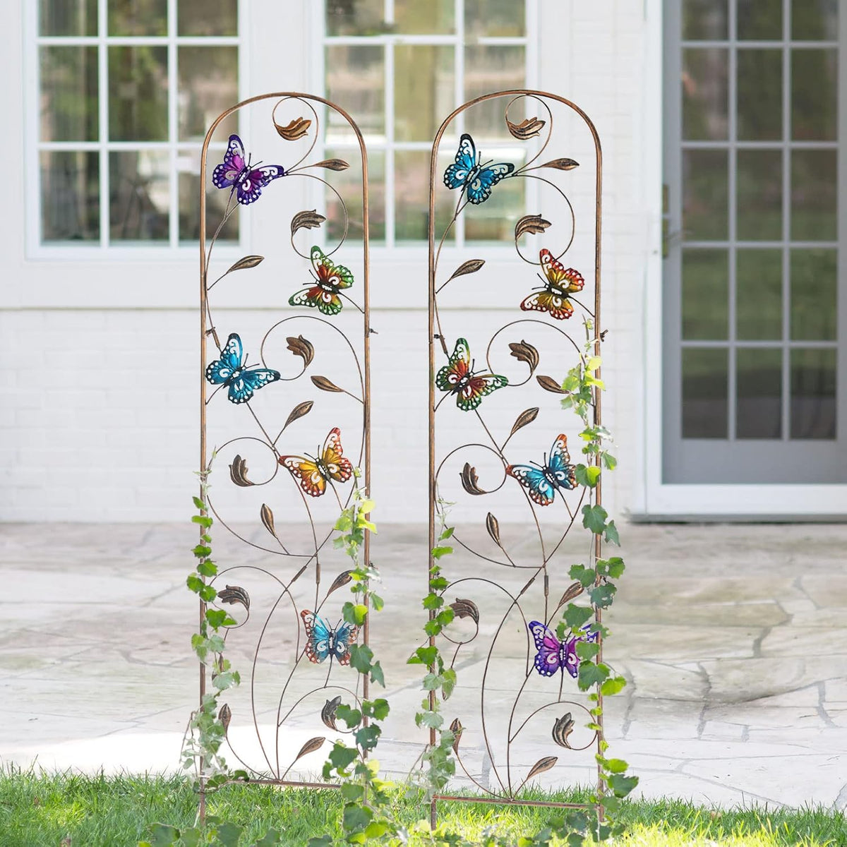 LEWIS&WAYNE 2 Pack Metal Garden Trellis with Colorful Butterfly 60 Inch High Outdoor Decoration Arched Fence Trellis for Climbing Plants for Patio, Lawn, Yard, Backyard, Wall Brackets