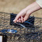 Rugged Ranch 2‑Pack Squirrelinator Multi‑Catch Squirrel Trap, Wire Cage, 24.5"x24.5"x5" Each - Live Catch‑and‑Release, 2‑Door Humane Rodent Control, No‑Poison Outdoor Use, Trap Only