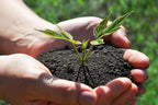 Organic Worm Castings Premium Worm Castings Fertilizer for Nutrient-Rich Soil and Healthy Plant Growth (3 QUARTS)