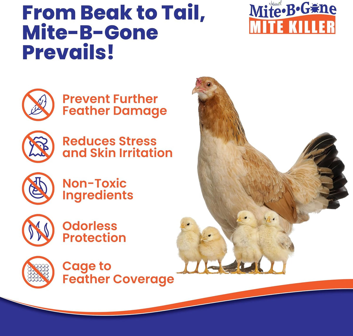 Mite Killer Spray by Mite-B-Gone — Kills Human Mites, Dust, Spider, Rat, Carpet & Bird Mites in Homes, Furniture, Bedding, Auto & On Animals | Non-Toxic | Kid & Pet Safe | 32oz Spray