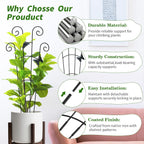 2 Pack 30'Taller Plant Trellis for Potted Climbing Plants Indoor,Expandable Metal Garden Trellis for Climbing Plants,Flowers Vine Ivy, Sturdy Houseplant Support for Potted Plants with Ties