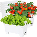 Oliz Self-Watering Rectangle Planter Boxes 8-Pack, 15.7-Inch Window Box Planter with Drainage Holes & Trays, Pots for Vegetables, Herbs, Flowers, Garden Windowsill Balcony (White)