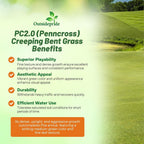 Outsidepride PC2.0 (Penncross) Creeping Bent Grass Seed – 25 lbs. Premium Golf Course Grade, Dense, Wear-Resistant Turf Grass Seeds for Tees, Putting Greens & Fairways, Ideal for High Traffic Areas