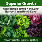 HOME GROWN 21,600+ Lettuce Seeds for Planting - 20 Heirloom Varieties, Non-GMO USA - Romaine, Butterhead, Iceberg, Leaf Lettuce, Spinach & Kale - Indoor, Outdoor & Hydroponic Garden Kit