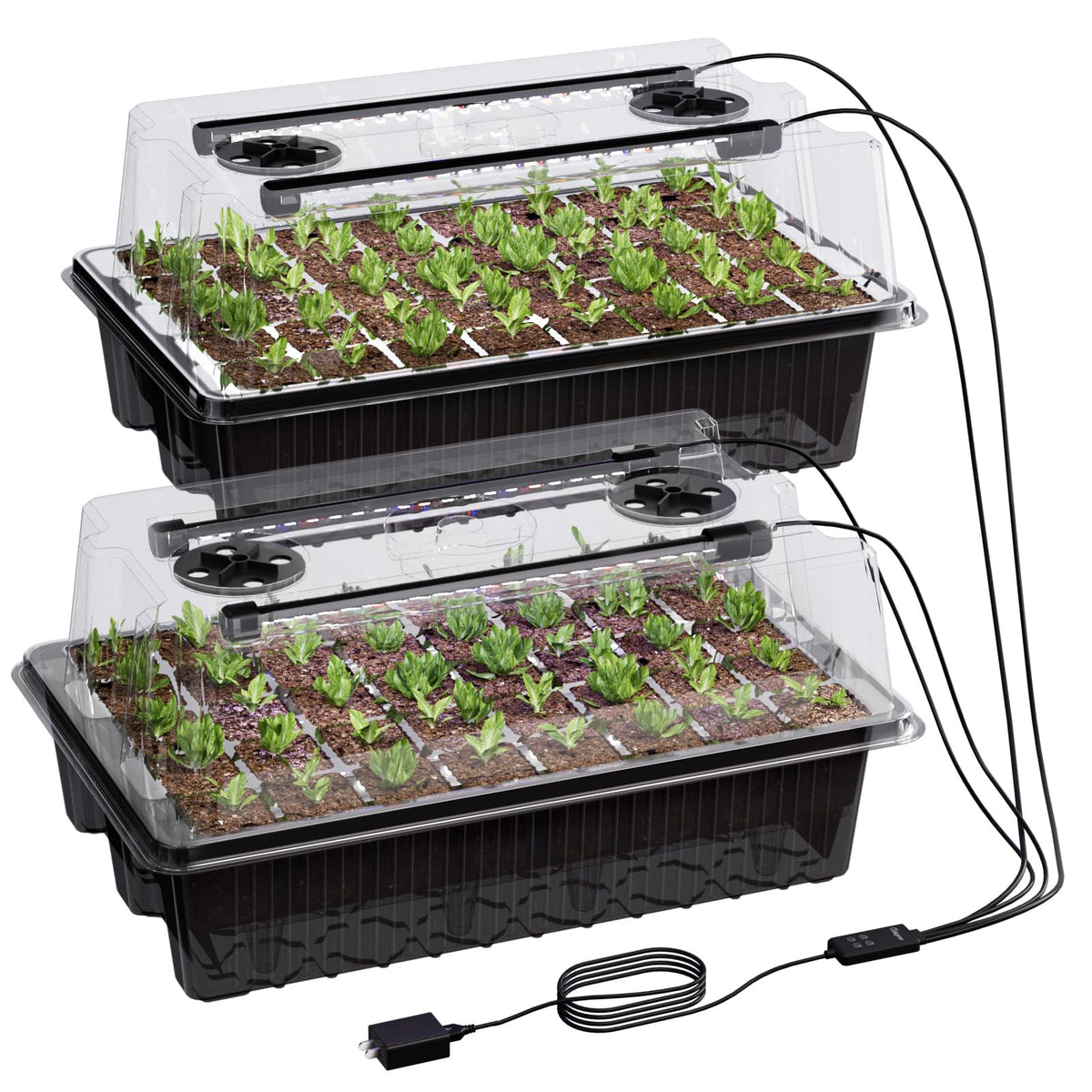 Patigrow 80-Cell Self-Watering Seed Starter Tray with Grow Light, Seed Starter Kit with 4.07” Humidity Dome, Indoor Seedling Starter Tray, Seed Starting Trays for Plant Germination, Seeds Growing