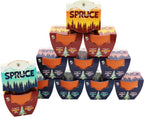 BUZZY Seeds Holiday Spruce Tree 12 Pack Mini Terracotta Grow Kits Includes All You Need to Sprout Evergreens, a Fun Stocking Stuffer, Party Favor or Corporate Gift