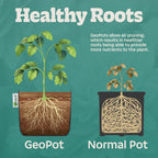 GeoPot 3 Gallon Fabric Grow Bags for Vegetables, Houseplants, Herbs & Flowers | 10-Pack | Fabric Pots for Outdoors and Indoors, Aerated Fabric Grow Bags