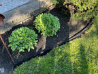 8 Pcs - 48'' L x 6'' H Steel Landscape Edging Edging for Landscaping Garden Edging Metal Landscape Edging Tall Border Lawn Edging No-dig Hammer in Edging with Gloves(32FT Total Length)