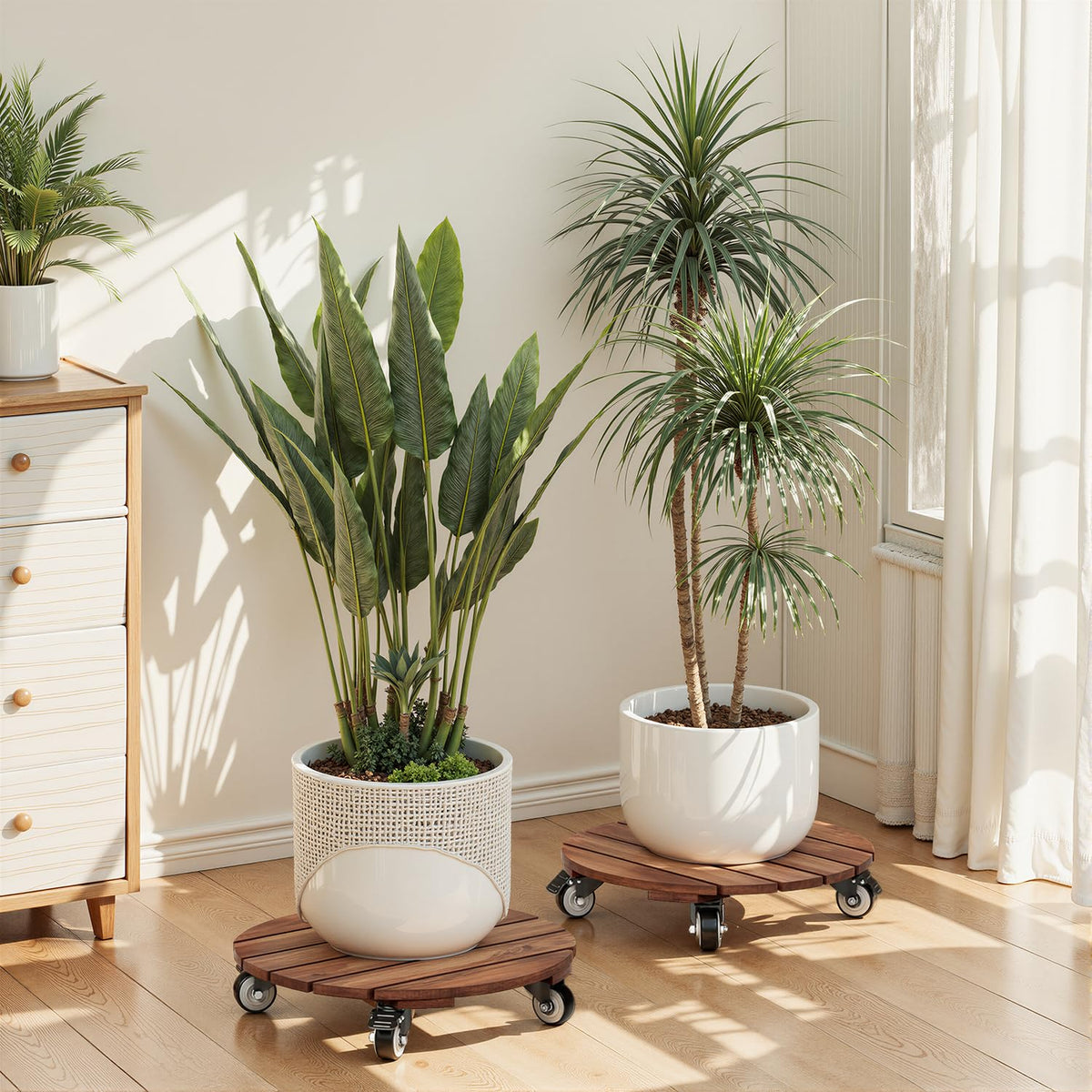 IDZO 2pack Wood Plant Caddy With Wheels Heavy Duty Red Brown, 264 Lbs Capacity, 12 Inch Acacia Hardwood Plant Roller, Plant Stand with 360° Lockable Wheels, Plant Caster for Heavy Objects Hauling