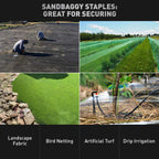 Sandbaggy Galvanized 6 Inch Round Top Landscape Staples ~ SOD Garden Stakes for Drip Irrigation Tubing & PVC Piping - Trusted by Farmers & Contractors Across USA (1,000 Staples)