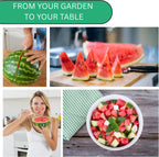 Woods Creek Seeds: Sugar Baby Watermelon Seeds for Planting - Over 90 Heirloom Watermelon Seed Pack - Non-GMO Fruit Seeds for Planting Home Garden or Outdoors - Mini Watermelon Seeds for Gardeners