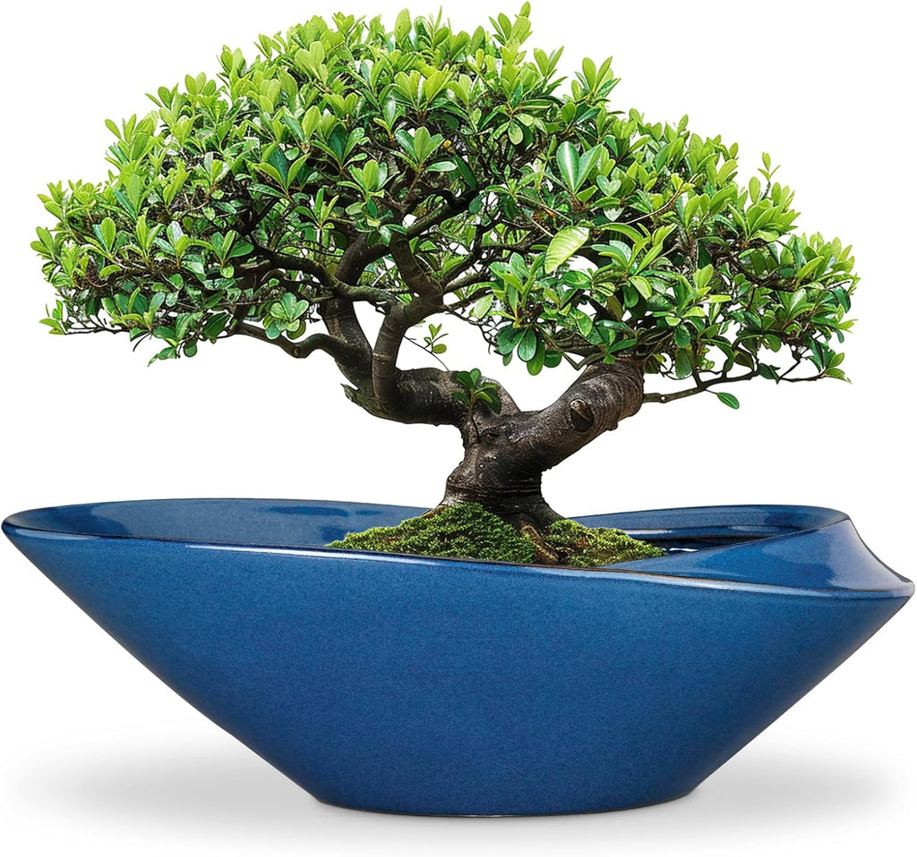 Bonsai Pot - 18 Inch Ceramic Planter for Indoor Outdoor Plants Bonsai Tree Pot Modern Large Succulent Planter Decorative Plant Pot with Drainage Hole Blue