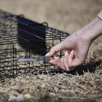 Rugged Ranch Squirrel Trap, Live Animal Catch & Release Cage, Squirrelinator, Black - Humane Indoor and Outdoor Catcher for Chipmunks and Squirrels