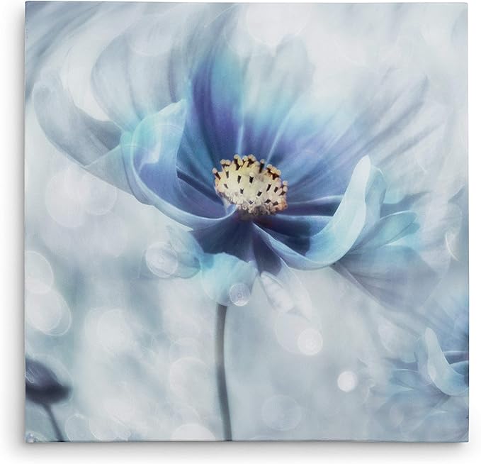 Wexford Home Feeling of Blue I Gallery Wrapped Canvas Wall Art, 40x40, Multicolor