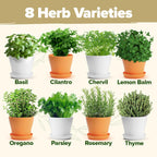 HOME GROWN 𝗣𝗥𝗘𝗠𝗜𝗨𝗠 𝗛𝗘𝗥𝗕 𝗞𝗜𝗧 8 Herb Seeds Garden Kit, Complete Indoor Planter Gift with Basil Cilantro Mint & More, Unique Kitchen Growing Set for Women Men, Birthday Housewarming Present