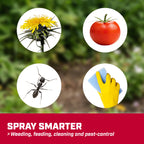 Chapin 1-Gallon Pump Sprayer, Easy Use for Home & Garden