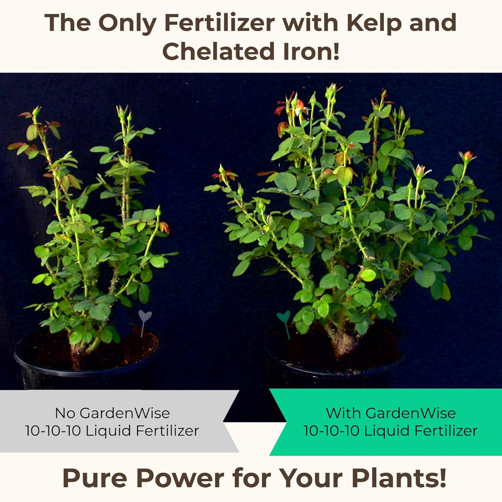 10-10-10 All Purpose Plant Food - Liquid Fertilizer with Seaweed Kelp & Iron - Indoor & Outdoor Plant Food, Vegetables, Flowers, Lawn & Garden 1x16 oz