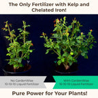 10-10-10 All Purpose Plant Food - Liquid Fertilizer with Seaweed Kelp & Iron - Indoor & Outdoor Plant Food, Vegetables, Flowers, Lawn & Garden 1x16 oz