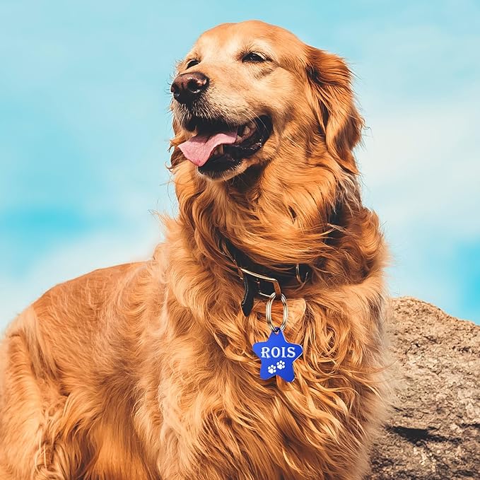 Dog Tags Engraved for Pets - YEHANTI Personalized Dog Tags with Lovely Icons, Durable Stainless Steel Pet ID Tags for Small Large Dogs Cats, Custom Dog Name Tags Engraved on Both Sides (Star)