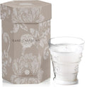 Zodax Grand Casablanca Glass Jar Scented Candle for Home Decor - Single-Wick Candle Ideal for Kitchen and Bathroom - Makes a Great Gift for Women and Men - Casablanca Lily - 8.3 Oz.