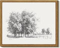 InSimSea Framed Wall Art for Living Room Vintage Tree Canvas Art Black and White Sketch Botanical Wall Decor Bedroom Artwork Farmhouse Painting Pictures Countryside Prints Rustic Gallery Office 8x10In