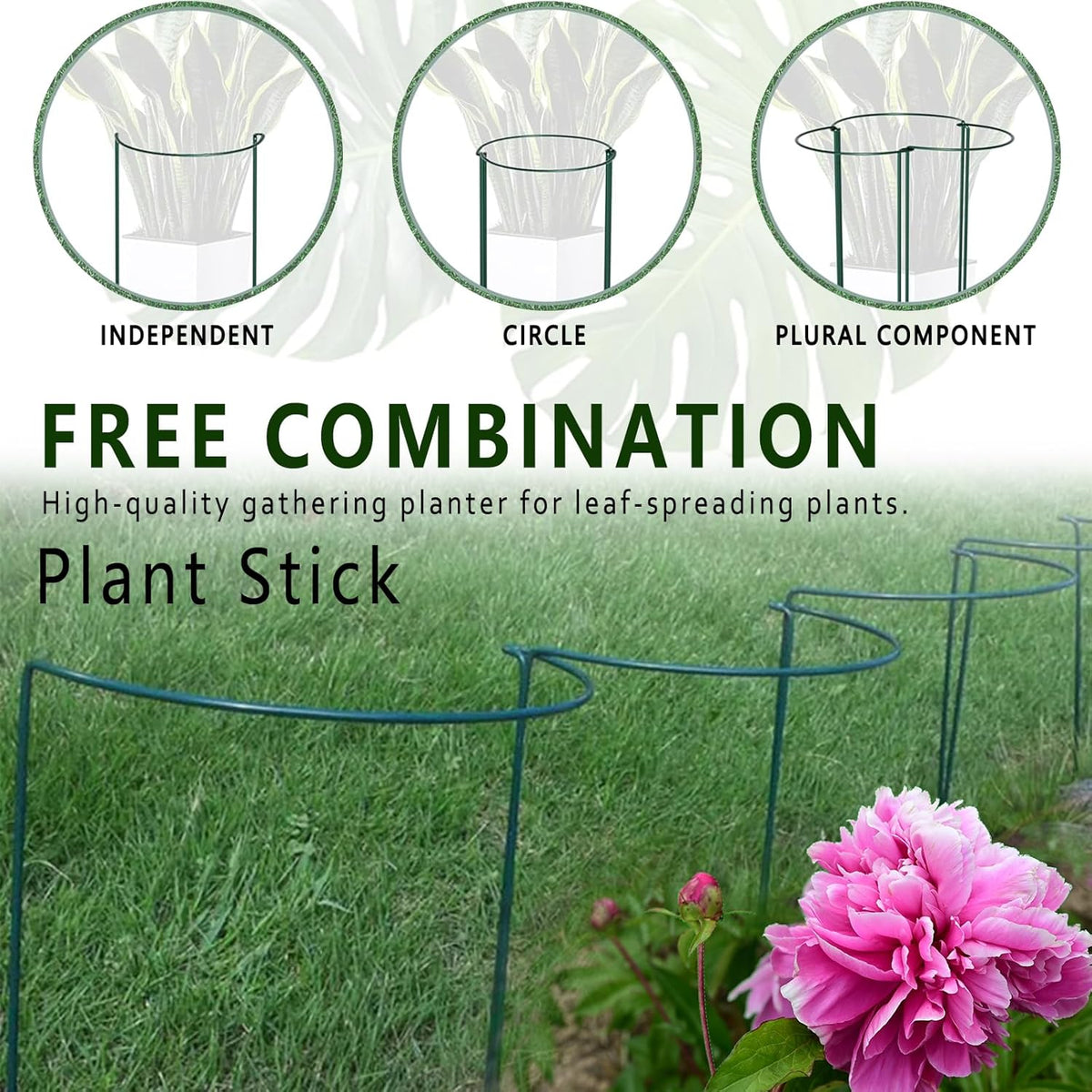 6 Pack Plant Support Stakes, Metal Monstera Plant Support Stakes for Indoor Plants, Large Garden Plant Support Ring, Tomato Cage, Tall Plant Holder Sticks (10" W X 15.8" H)