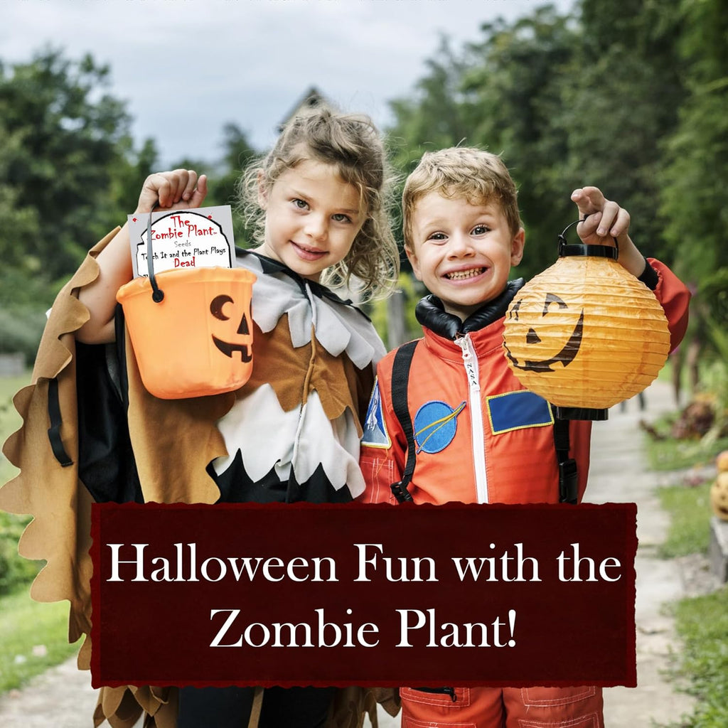 Zombie Plant Seed Packets – Grow a Live Sensitive Plant That Plays Dead When Touched! Indoor Plant Seeds & Educational STEM Activity | House Plant Seeds | Unique Garden Seeds – 2 Pack