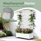 Metal Planter Box with Trellis Privacy Screen, Raised Garden Bed with Trellis & Wheels, Privacy Planters for Patio, Planter Box with Drainage Holes for Climbing Plants, Flower, 73"x 47"x 16", White