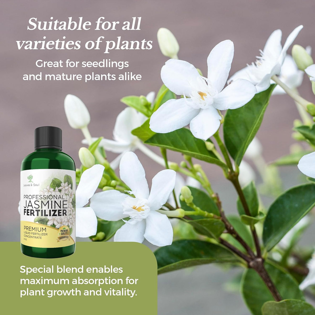 Professional Liquid Jasmine Fertilizer | 3-1-2 Concentrate for Plants and Flowers | Multi-Purpose Blend & Gardening Supplies | 8 oz Bottle (Jasmine)