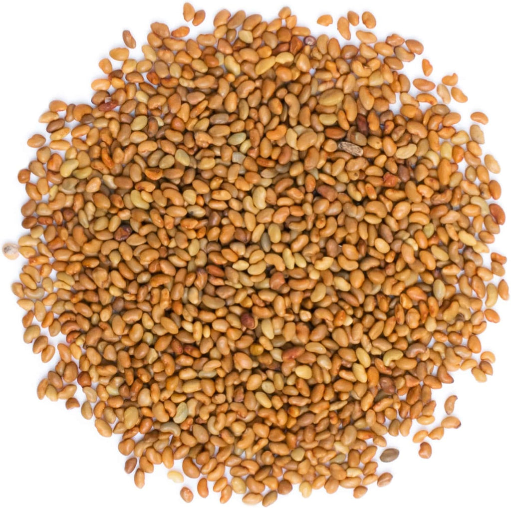 Food to Live - Organic Alfalfa Seeds for Sprouting, 3 Pounds - Non-GMO, Edible Seeds, Pure, Vegan, Kosher, Bulk - Rich in Vitamin K, Vitamin C