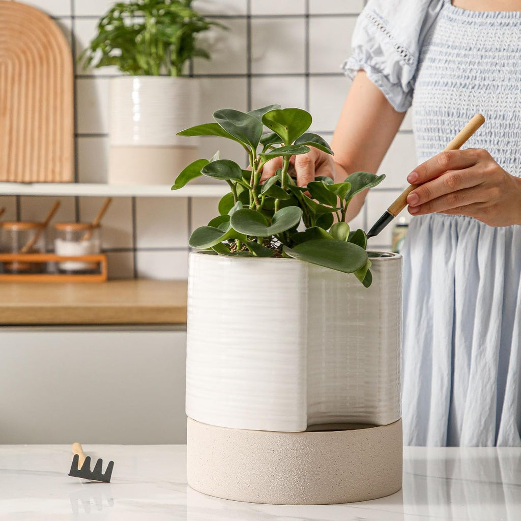 Nihow Self Watering Plant Pot: 8 Inch Ceramic Planter with Drainage Hole & Water Storage Plus for Indoor & Outdoor Plants - Cylinder Round Flower Pot for Succulent/Herbs/Violets - Cream White & Brown