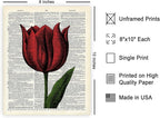 Poster Master Dictionary Art Poster - Tulip Print - Red Flower Art - Floral Art - Gift for Men, Women & Florist - Minimal Decor for Living Room, Bedroom, Dorm or Flower Shop - 8x10 UNFRAMED Wall Art