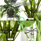 12pcs Climbing Houseplant Stem Supports,Plant stem Support Indoor Outdoor Use,Stem Hook Growth Accessories for Plant Garden, Promotes Upright Growth and Airflow(Black)