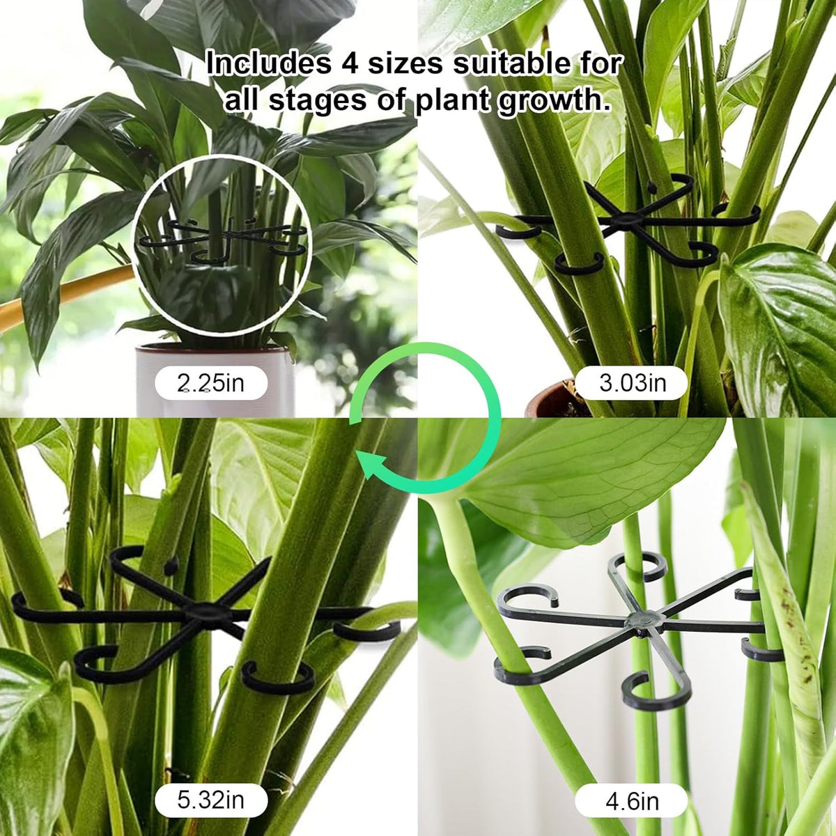 12pcs Climbing Houseplant Stem Supports,Plant stem Support Indoor Outdoor Use,Stem Hook Growth Accessories for Plant Garden, Promotes Upright Growth and Airflow(Black)