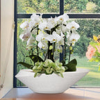 Bonsai Pots - 18 Inch Ceramic Plant Pot for Bonsai Tree, Modern Indoor & Outdoor Succulent Planter with Drainage, Room Decor, Gifts for Plant Lovers, White-Black