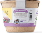 Back to the Roots Organic Cosmos Flower Grow Kit with Plantable Starting Pot Soil and Seeds