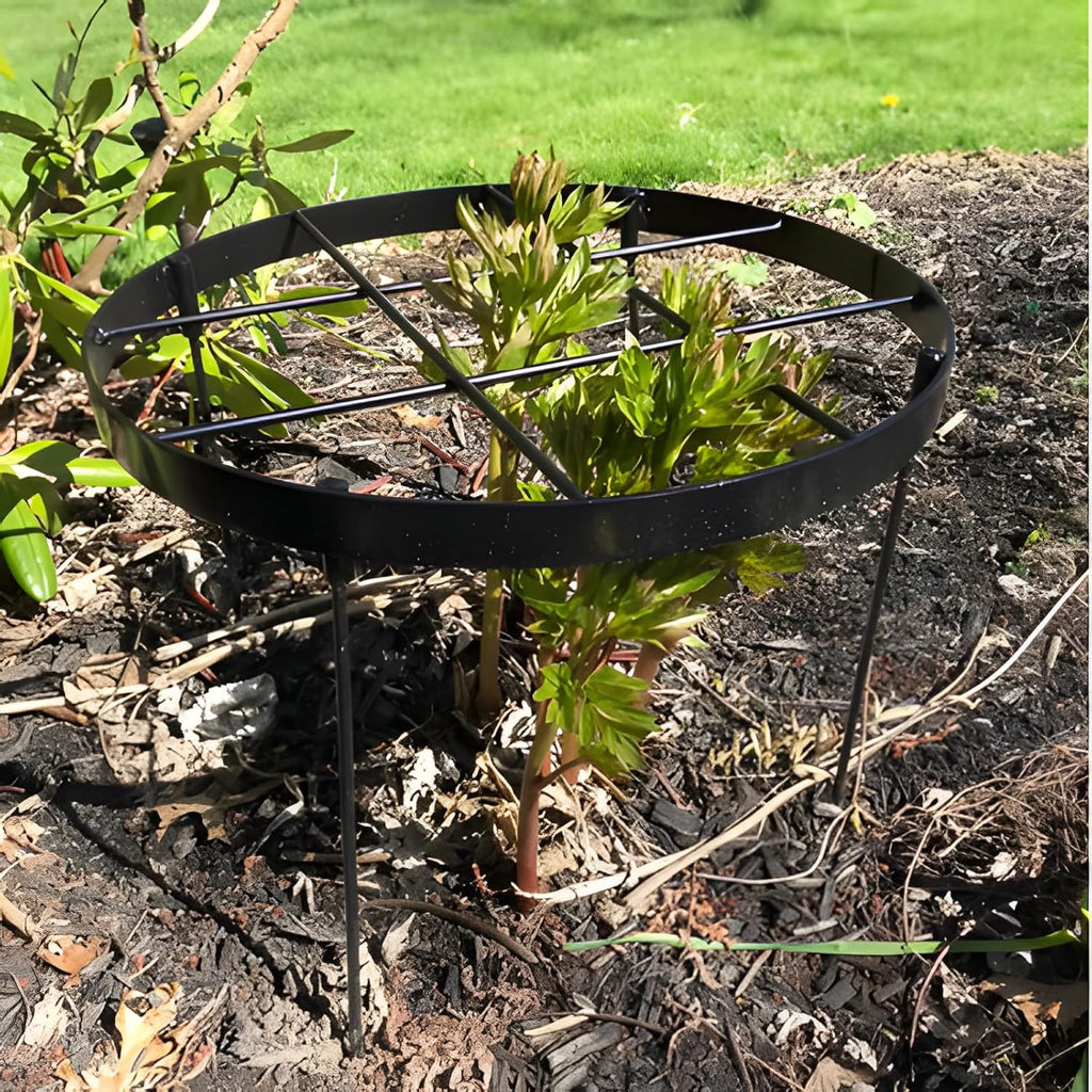 Goooxim Large Peony Cage & Plant Support Ring, 18.9" x 23.6" Round Metal Flower Stakes