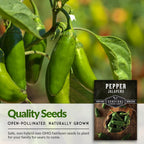 Jalapeño Pepper Seeds for Planting | Hot Heirloom Non-GMO Peppers for Pickling & Salsas – Survival Garden Seeds (2 Packs)