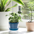 D'vine Dev 4 Inch Design Self Watering Planter for Indoor Plants, Blue Terracotta Pot with Cylinder Glass Cup, Set of 4, 37-Z-A-4-F