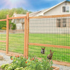 Green PVC Coated Welded Wire Fence 48 Inch x 50 Foot, 2 Inch x 4 Inch 14GA, Garden Border Fencing Roll Vinyl Coating Metal Wire Mesh Hardware Cloth for Yard Vegetable Plant Protection