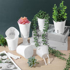 20 Pack 3 Inch Self Watering Pots for Indoor Plants Small White Plastic Planter Garden Hydroponic Flower Pots with Level Indicator Vents for House Plants, Flowers Violets Ocean Spider Plant