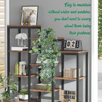 LOYWREE Fake Hanging Plants - Small Potted Plants with Green Eyebrow-Leaf Trailing Vines, Indoor Outdoor Aesthetic Decor for Office, Living Room Shelf & Home Accent (Black Pot)