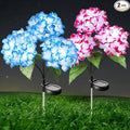 Solar Flower Lights - 2 Pack Waterproof Garden Lights with Solar Hydrangea Stake, Decorative for Patio, Courtyard, Garden Lawn (Blue & Rose Red)
