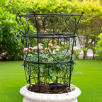 Large Obelisk Trellis Peony Cage 24.6x17 Inches - Premium Metal Plant Support for Outdoor Gardens, Easy Assembly, Sturdy Design, Perfect for Climbing Plants