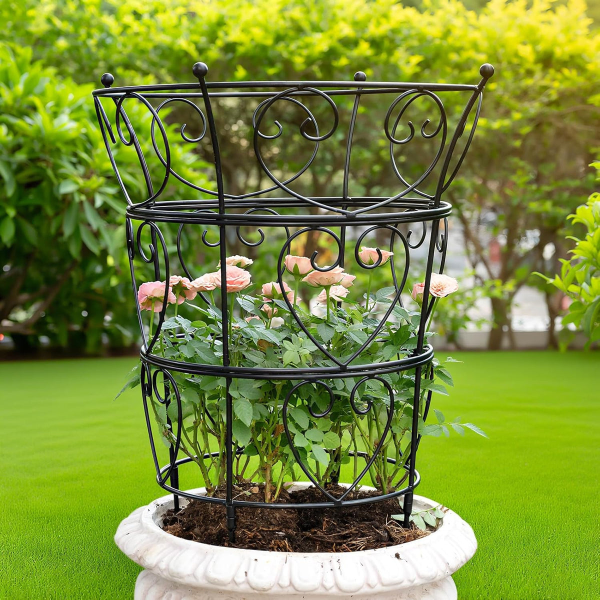 Large Obelisk Trellis Peony Cage 24.6x17 Inches - Premium Metal Plant Support for Outdoor Gardens, Easy Assembly, Sturdy Design, Perfect for Climbing Plants