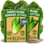 HOME GROWN Romaine Lettuce Seeds, Paris Island Bulk Pack, 7000+ Lettuce Seeds for Planting, High Germination Heirloom 𝗡𝗢𝗡-𝗚𝗠𝗢 𝗨𝗦𝗔 Vegetable Seeds,Works Indoor in Hydroponic Garden and Outdoor