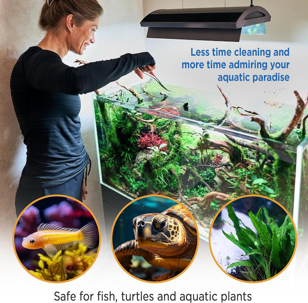 Fish Tank Rocks for Enhancing Water Clarity with Your Regular Cleaning Routine, Fish Friendly Aquarium Rocks, All Natural Aquarium Decor - Large - Covers Upto 3500 Gallons